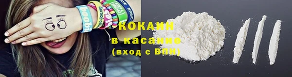 твердый Новозыбков