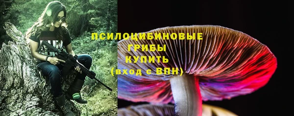 скорость Новодвинск