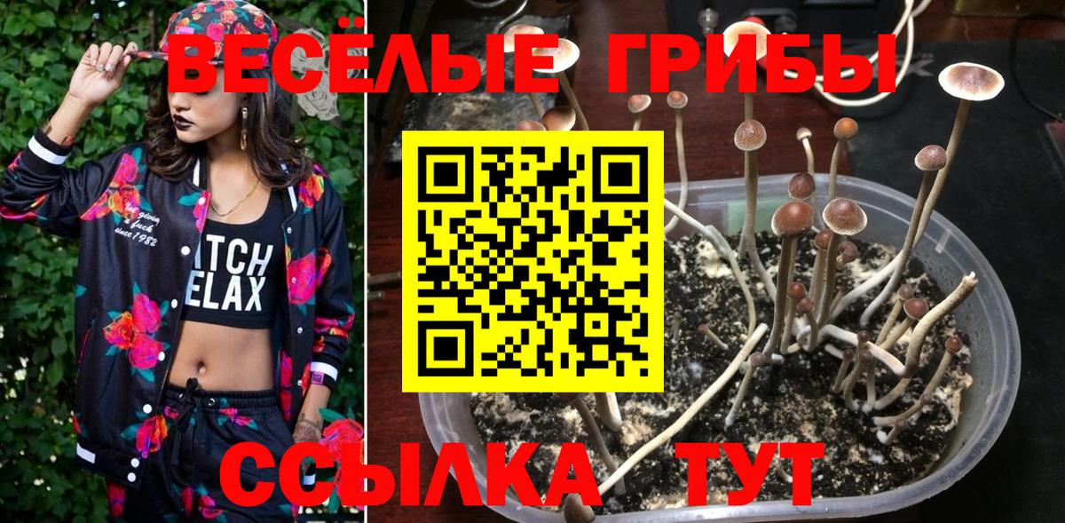 Галлюциногенные грибы прущие грибы  Вход с VPN  Псилоцибиновые грибы GOLDEN TEACHER  Белово 