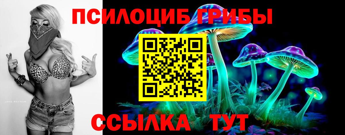 Псилоцибиновые грибы Psilocybine cubensis Белово